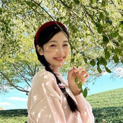 胡杨的夏天